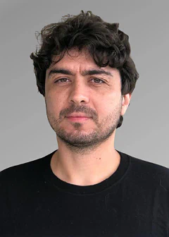 Mirko Perkusich